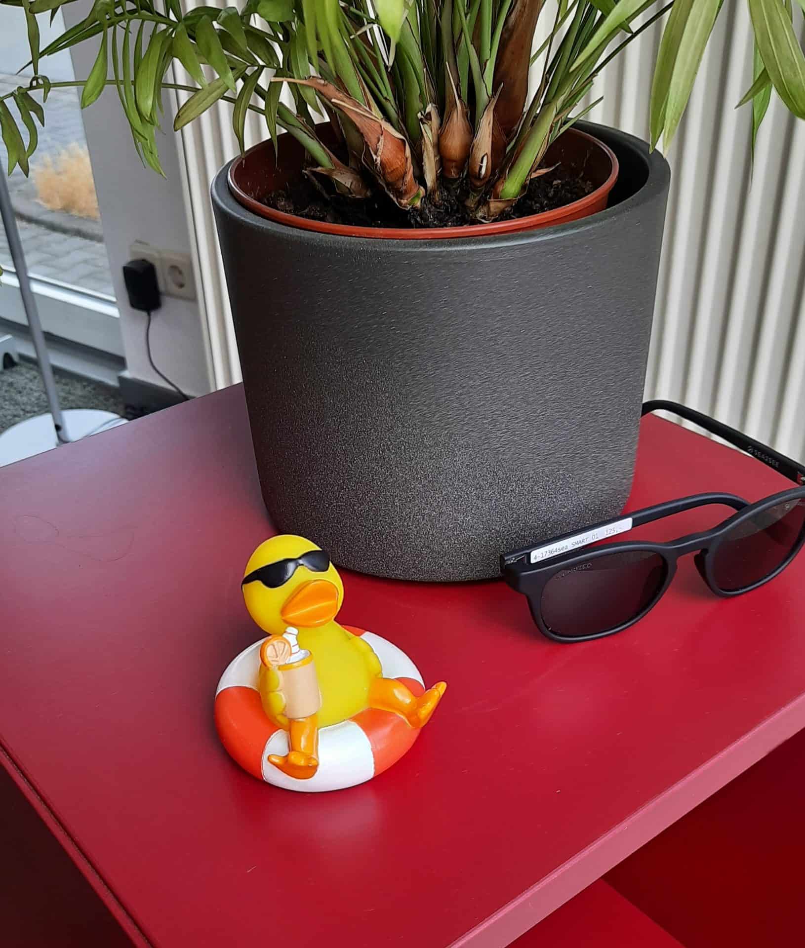 Gummiente mit Sonnenbrille neben Pflanze und Sonnenbrille.